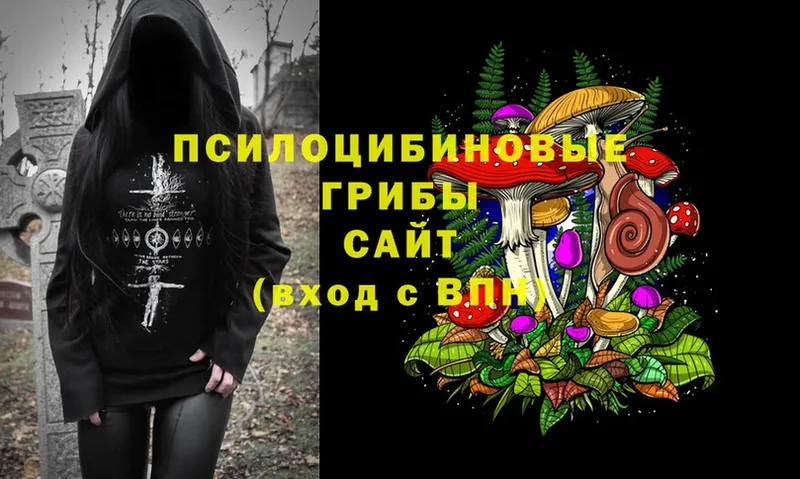 Псилоцибиновые грибы Magic Shrooms  Кинель 